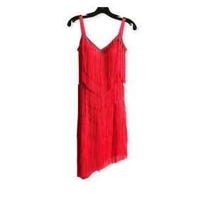 Latin Competition Dress